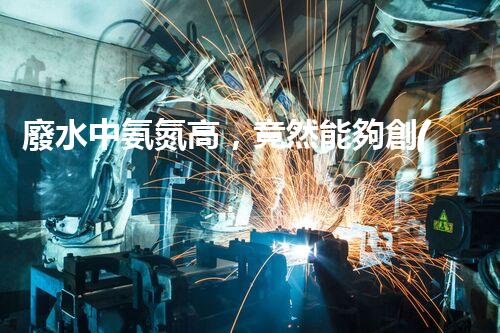 廢水中氨氮高，竟然能夠創(chuàng)造奇跡？！